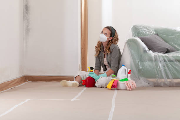 Reliable Bathroom Mold Removal contractor in Broad Run, VA by WQB Mold Removal